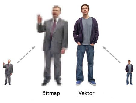 bitmpap-vector