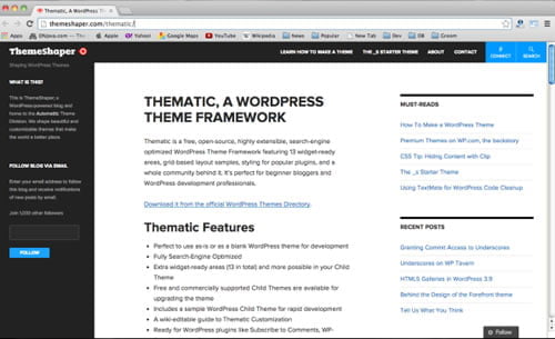 Thematic framework