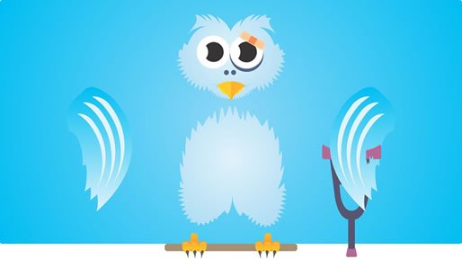 Help injured bird
