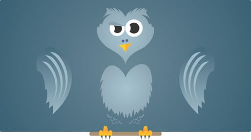 suspicious-bird