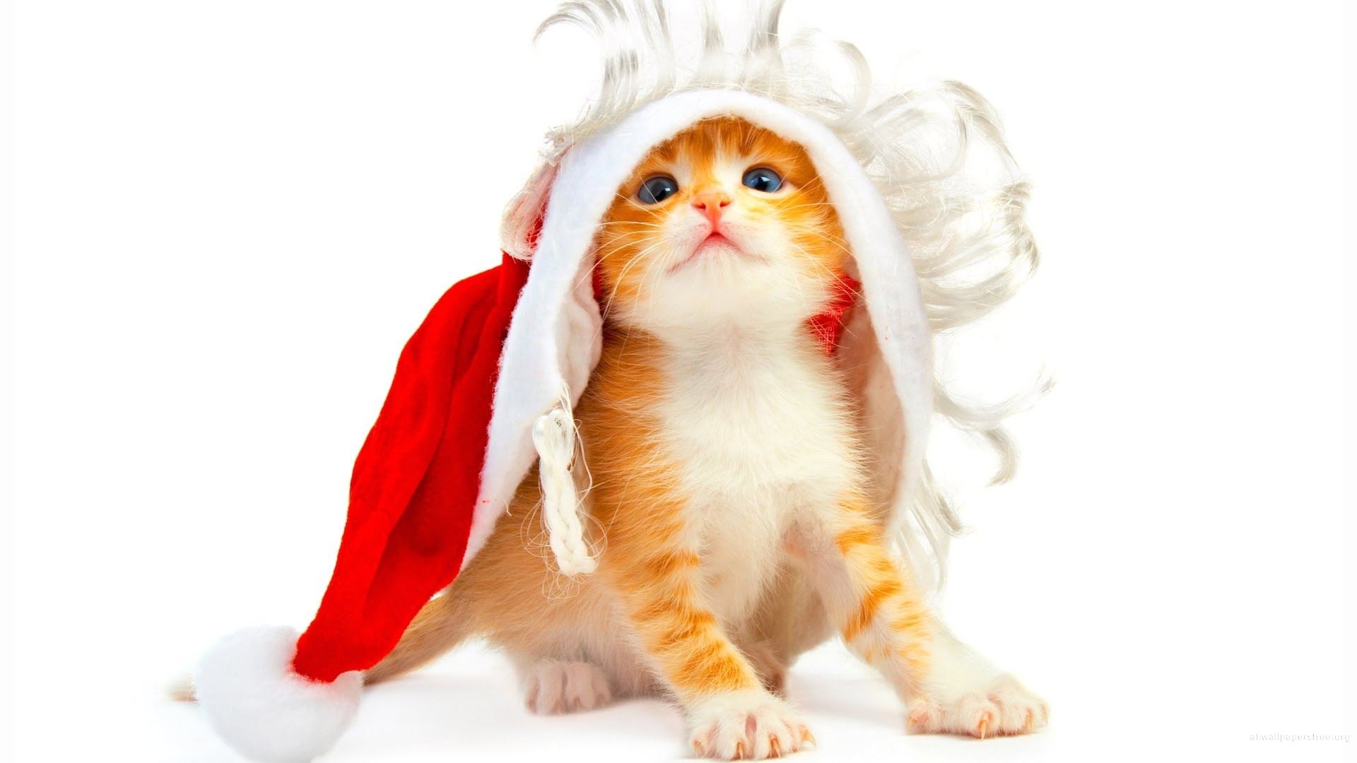 Must Have Christmas And New Year Hd Wallpapers Pack