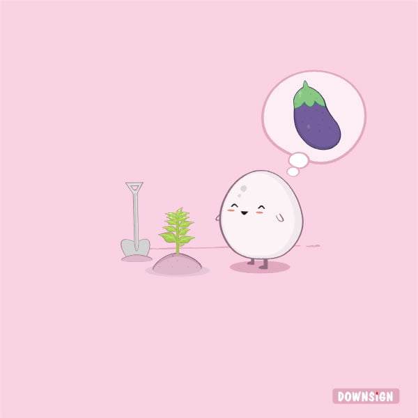 egg plant