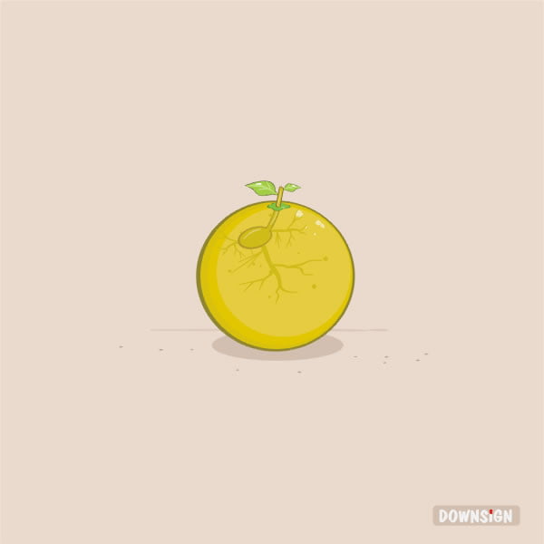 froot