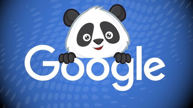 google panda
