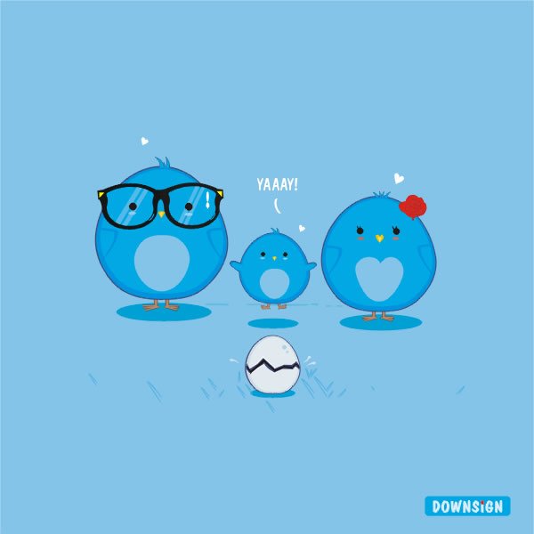 happy bird day
