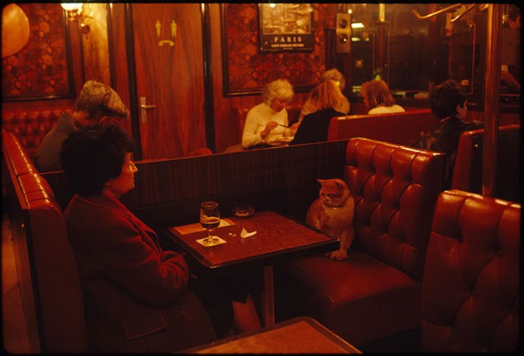 mačka pravi društvo ženi u pariskom kafeu 1988.