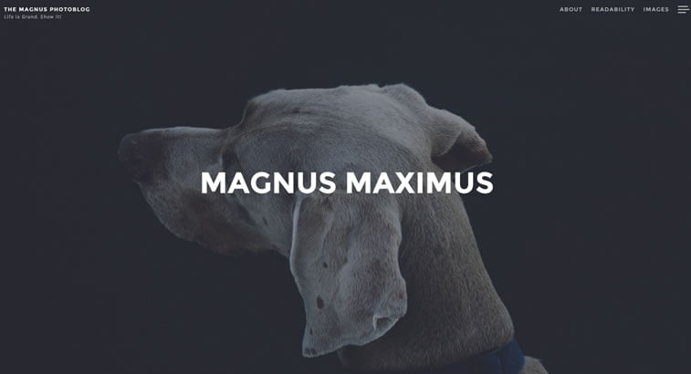 magnus