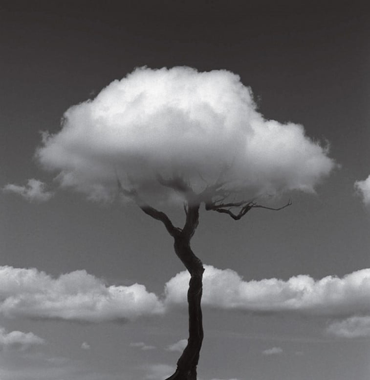 black 'n white mind bending optical illusions by Chema Madoz (12)