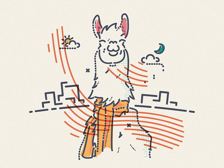 llama manchester weather