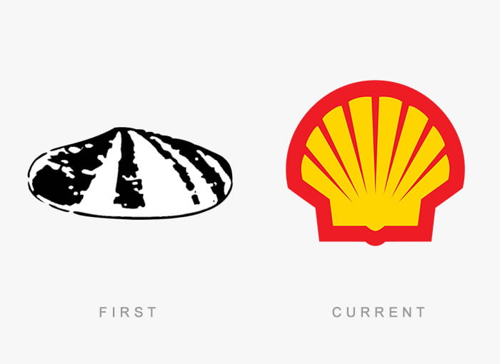 shell