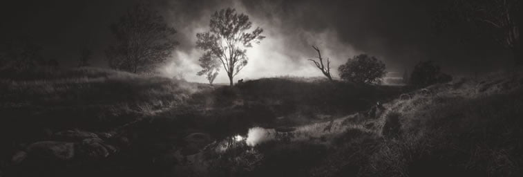 Glenn Homann