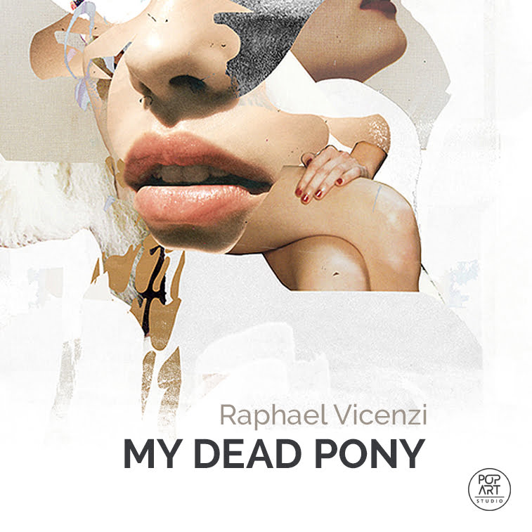 raphael vicenzi my dead pony collages