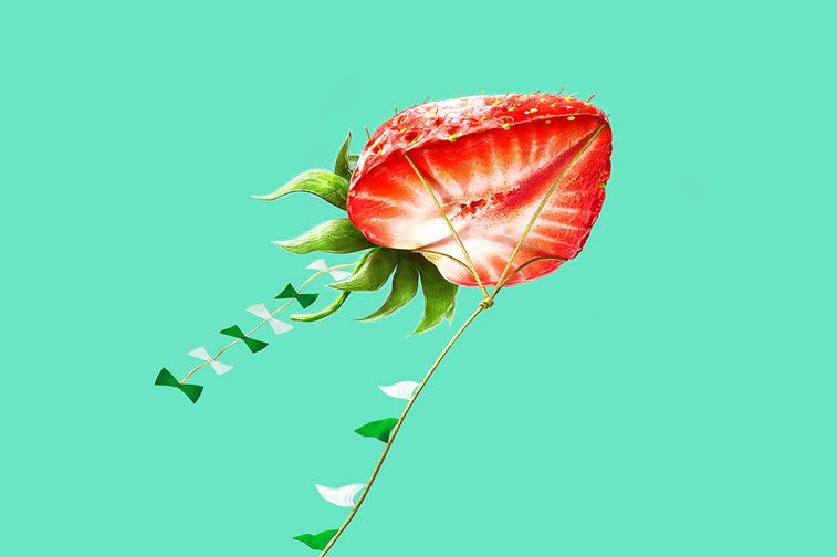 photo manipulations for le silpo campaign