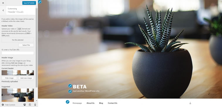 Wordpress 4.7 2
