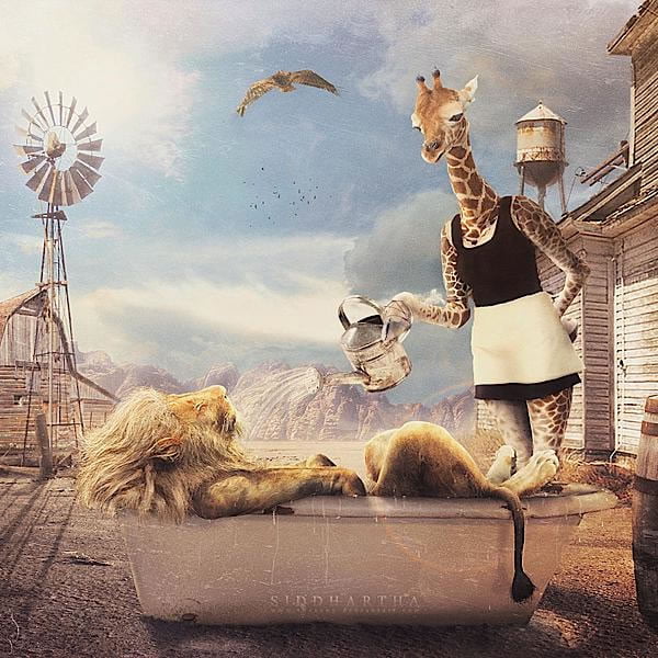 Surreal photo manipulations 13