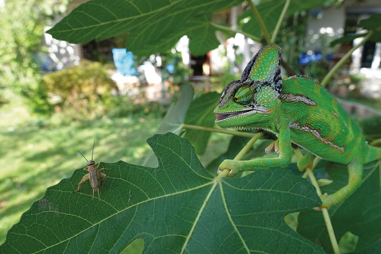 Svet iz ugla dece fotografa na takmicenju Nacionalne geografije 4