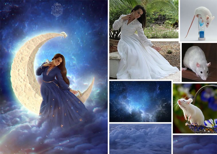 Foto manipulacije talentovane ukrajinske dizajnerke 10