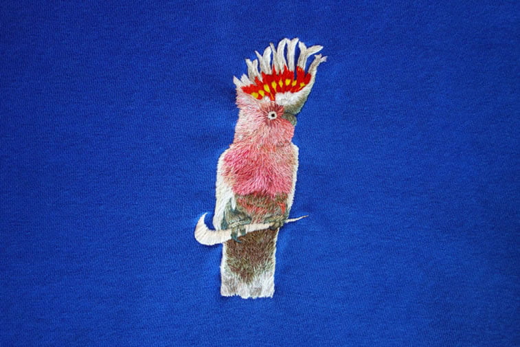 Vezeni logoi Džejmsa Merija 12