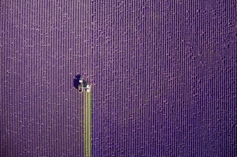 Najbolje fotografije uslikane dronom 2017. godine 4