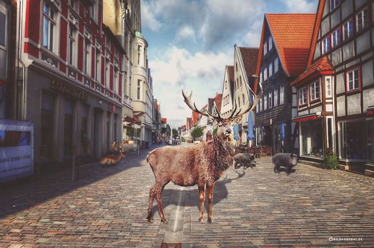 photo manipulation bildakrobat city life