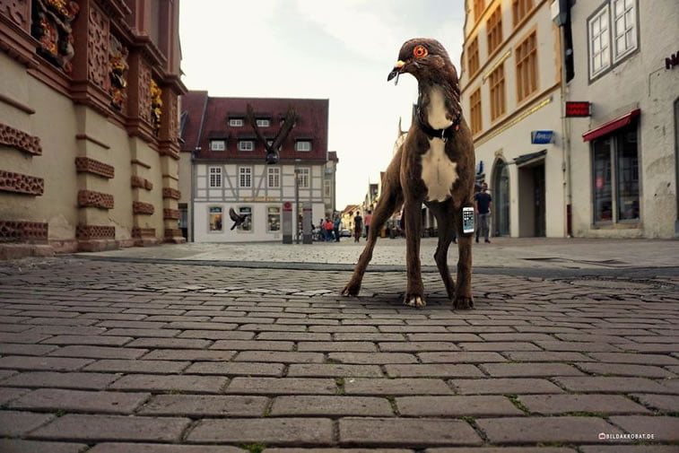 photo manipulation bildakrobat german dogdove