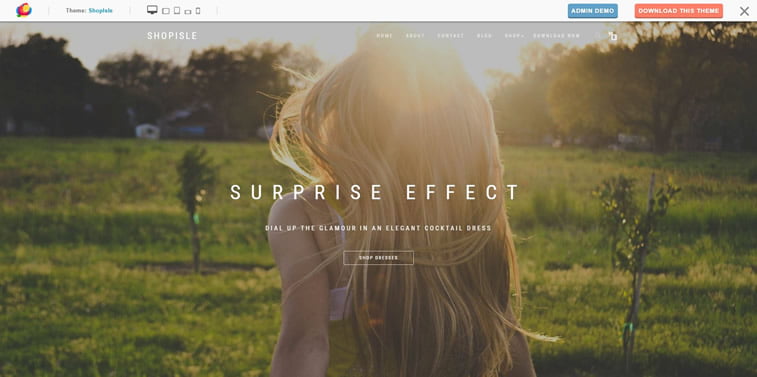 WooCommerce za početnike (2. deo): najbolje besplatne teme 2