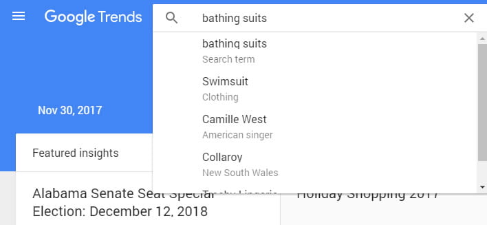 bathing suit google trends