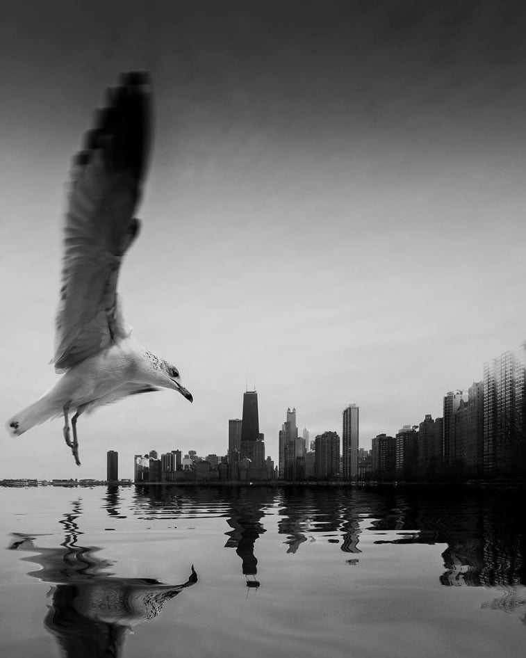 jason peterson black white photography 26