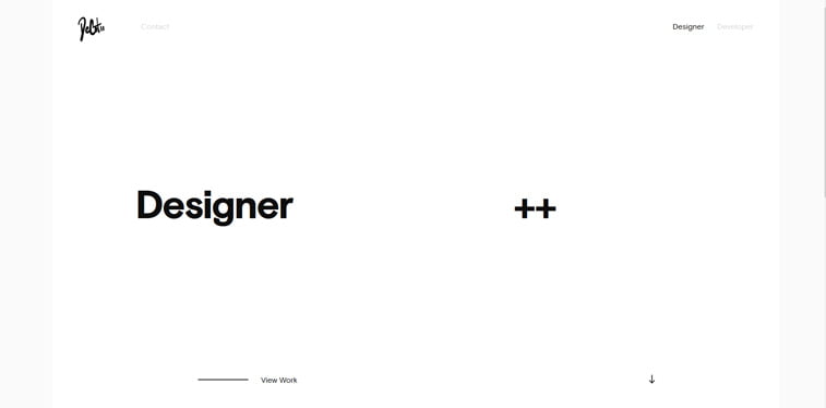 19 Paul DeCotiis portfolio vebsajt