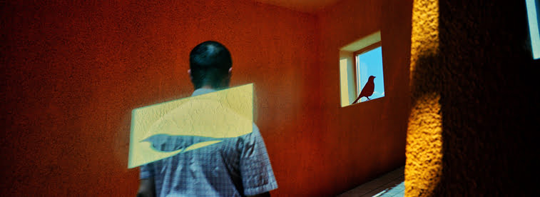 Wen hang Lin fotografija 3