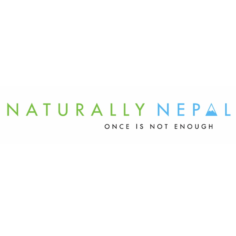 branding visit nepal minimalistic logo