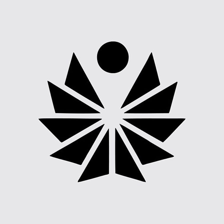 pacific trgovina logo dizajn figura trouglovi