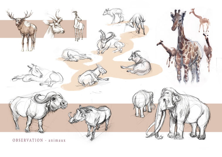 skice zivotinje jelen divokoza zirafa slon