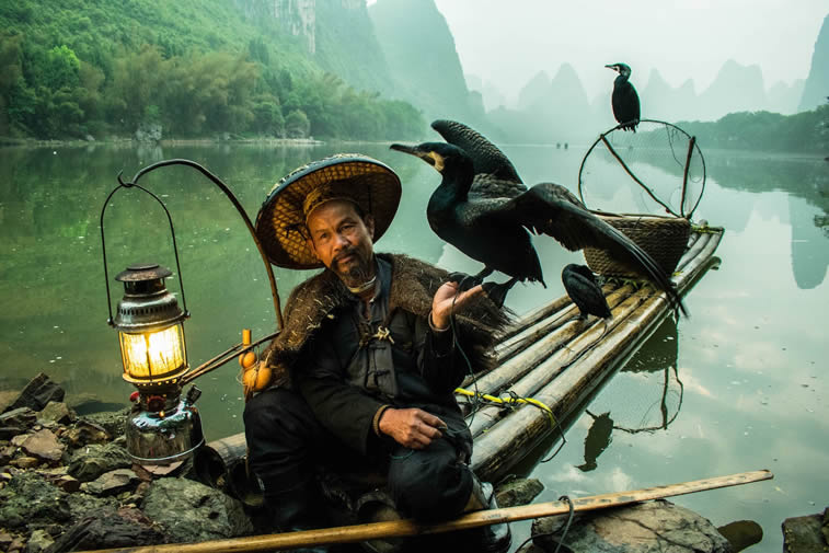 blackbeard cormorant fishermen guilin china