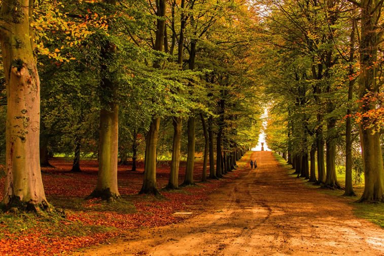 A walk through Chatsworth Garden in Derbyshire