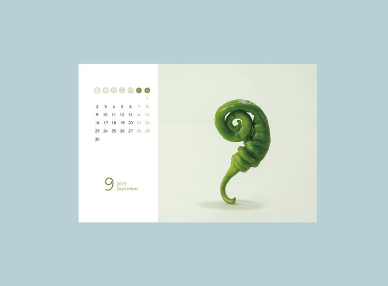 food calendar 2019 hrana dizjan kalendara ljuta papricica devet