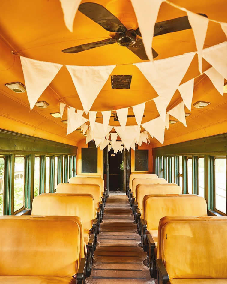 inside the train retro style flags