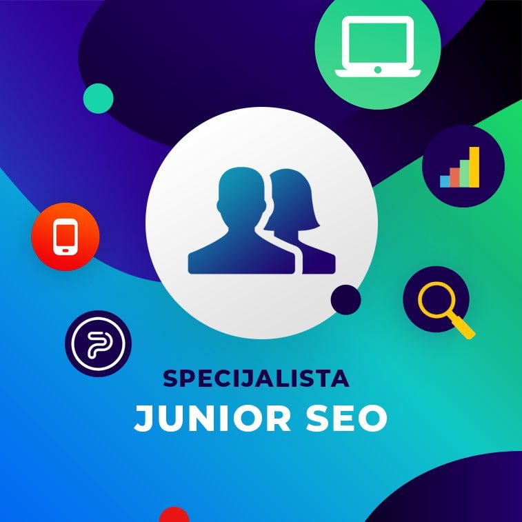 junior seo