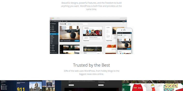 wordpress homepage screenshot