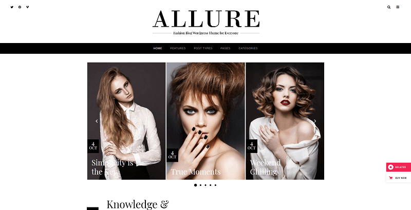 allure wordpress theme