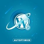 WordPress autoptimize plugin.