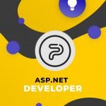 ASP.net developer