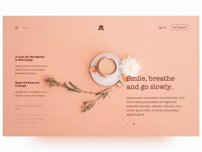 aesthetic web design
