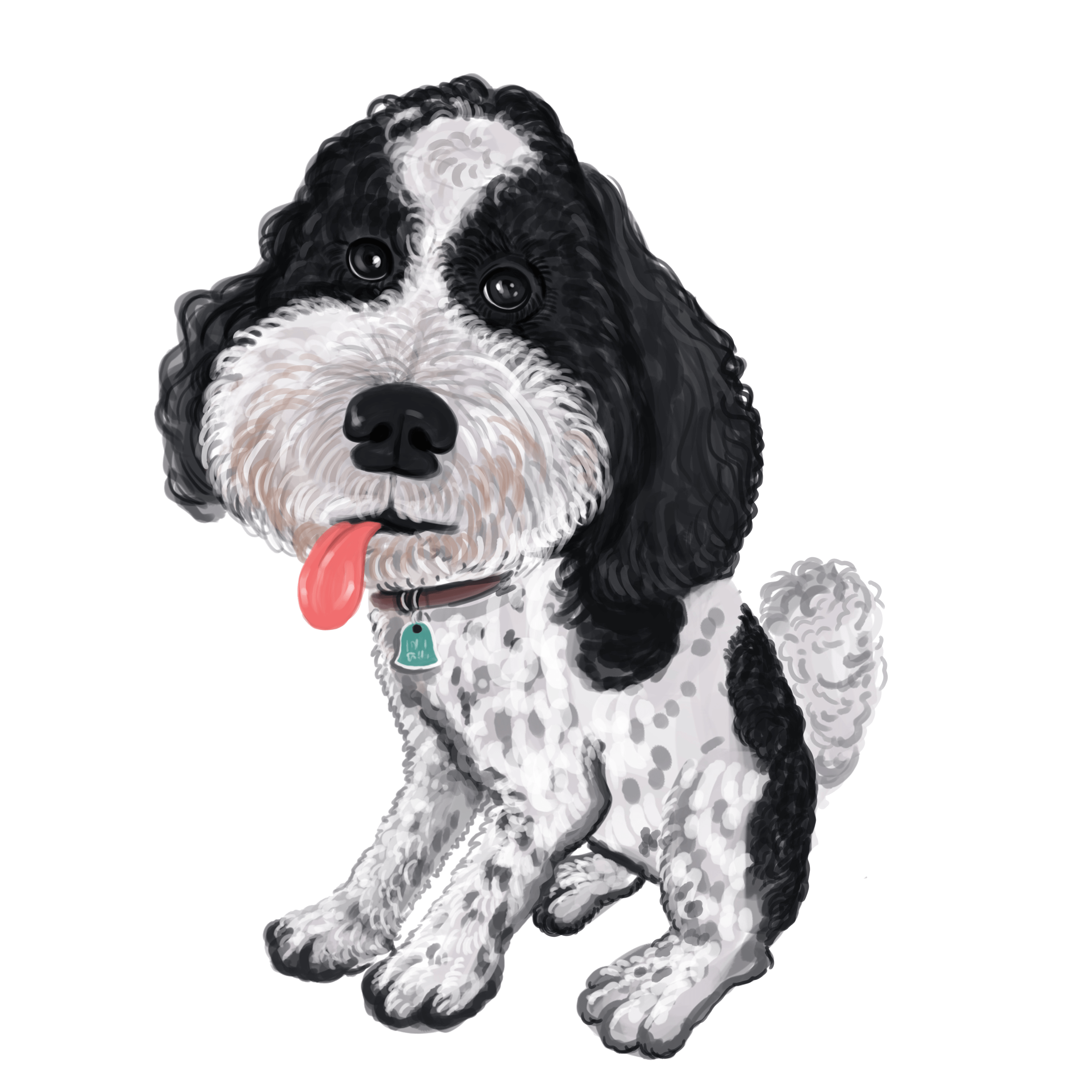 Cute black and white dog