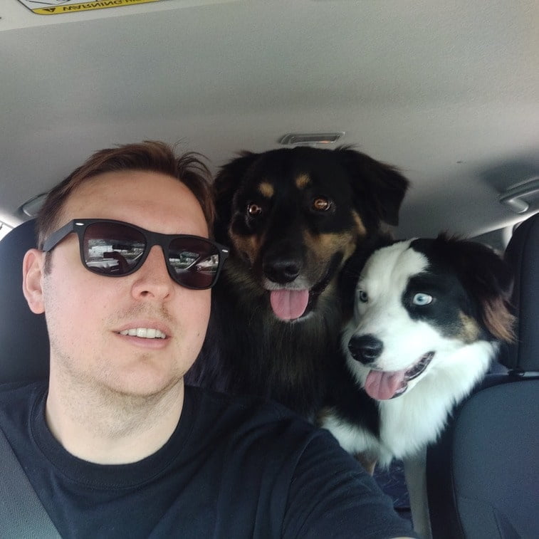 dylan israel dogs