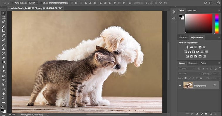 photoshop interface