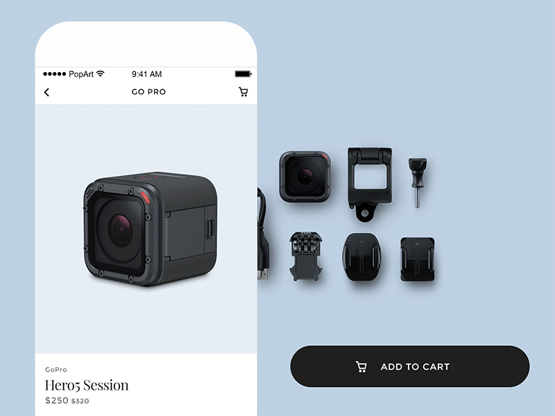 go pro ecommerce design website online shop