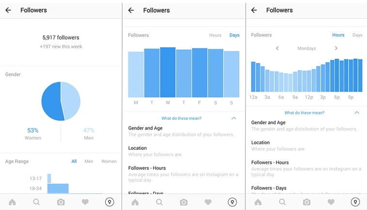 instagram for business audience report
