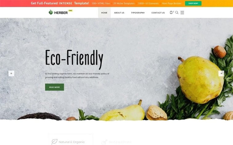 best free botstrap theme template website eco friendly organic food