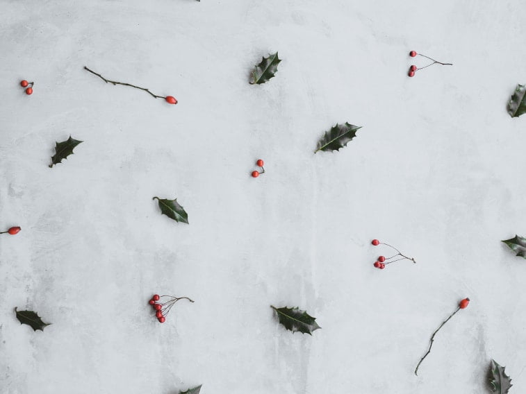 wallpaper desktop minimalism plants